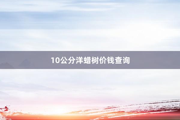 10公分洋蜡树价钱查询